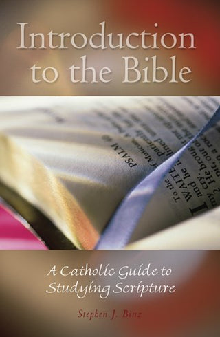 Introduction to the Bible - 081461700X