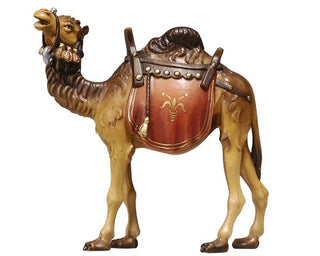 Camel - 801170