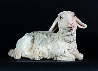 Seated Sheep