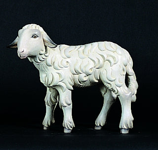 Standing Lamb