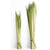 24" - 36" Palm Strips (100/Bundle) - 2436