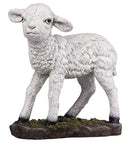 Lamb (Color) - 33513