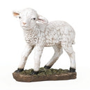Lamb (Color) - 33513