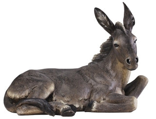 Donkey (Color) - 34984
