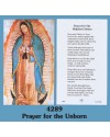 4289 Our Lady of Guadalupe: Prayer for The Unborn