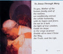 JB4300P To Jesus Through Mary HC