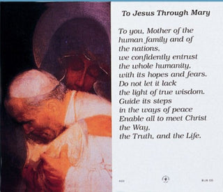 4300 To Jesus Through Mary