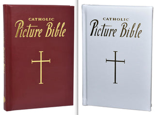 Catholic Picture Bible - 435/13