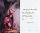 JB525-1P Agony in The Garden HC