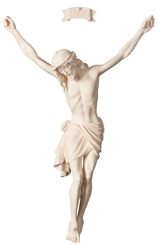 Corpus Siena - 684000