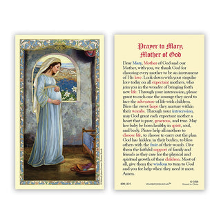 Mary - Mother Of God - Laminated Holy Card 25/pk - 800-1125