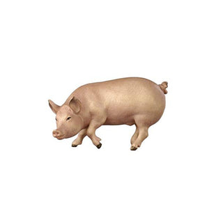 Pig - 801105