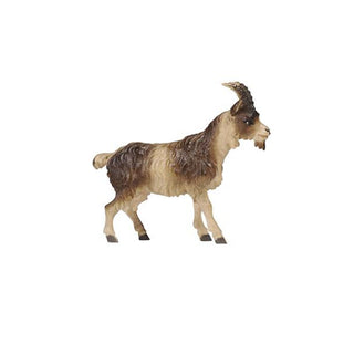 Goat (Short Hair) - 801198