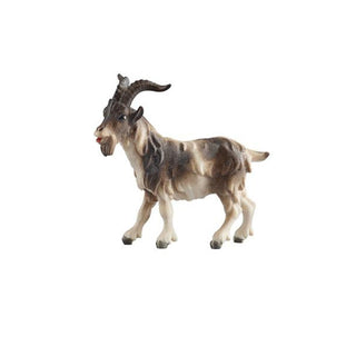 Goat (Billy Goat) - 801210