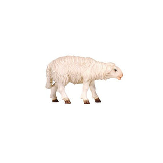 Sheep (Standing Looking Forward) - 801260