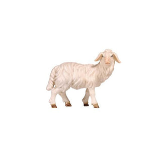 Sheep (Standing Looking Right) - 801262