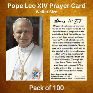 Pope Leo XIV Formal Portrait - Paper Holy Card, Pack of 100 - 3" x 5" - CI-LEO2-3X5-100