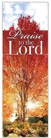 Praise To The Lord Banner 2'x6' - D45252X6P