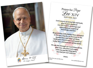 Pope Leo XIV Formal Portrait Holy Card - HC3-1879