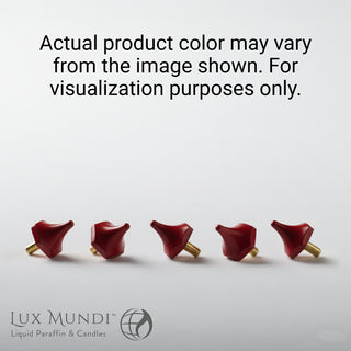 Red Oil Paschal Candle Nails - Set of Five Nails - LMNAILSR