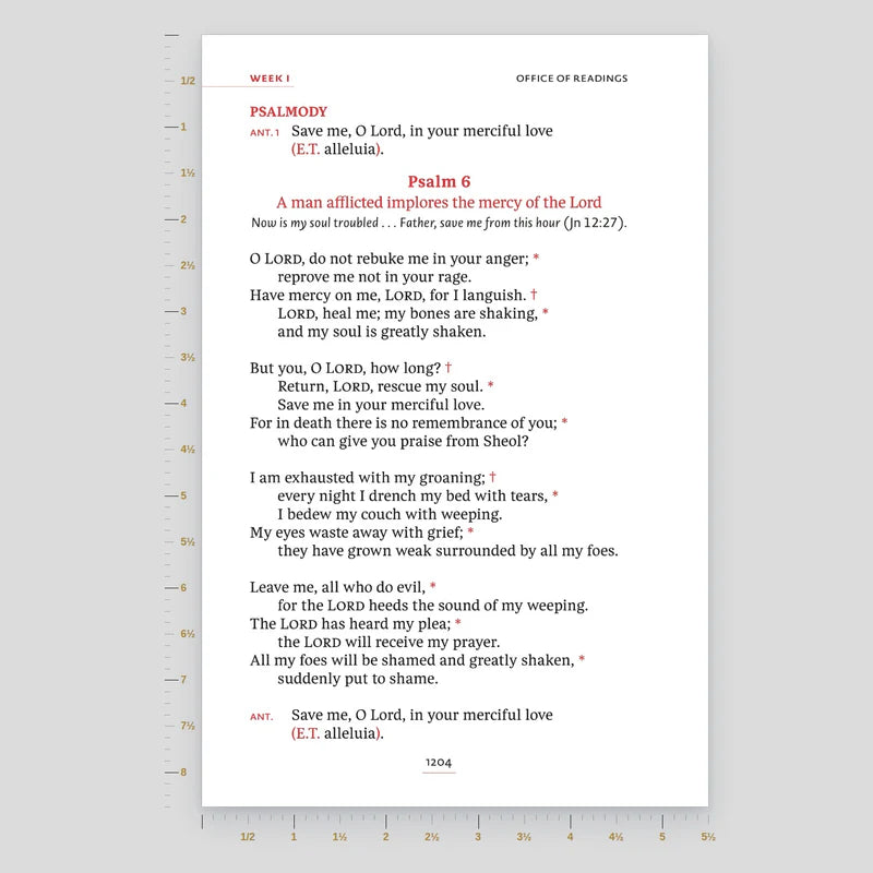 Page size: 5.5" x 8.375"
Large Print (12.41pt)
An increased font size for prayer that’s easier on the eyes.