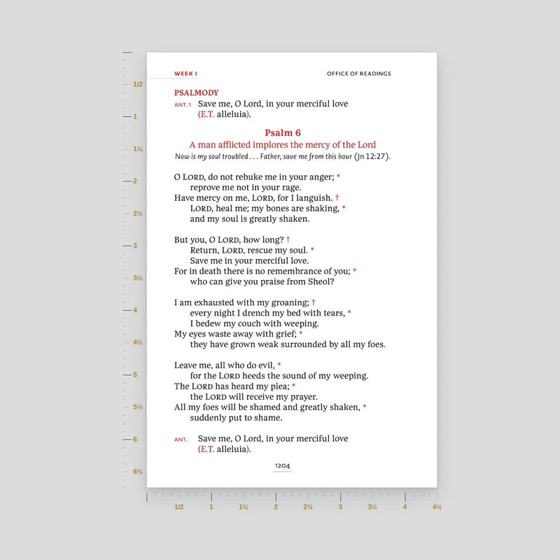 Page size: 4.5" x 6.75"
Standard Print (10 pt)
Clear and comfortable for most readers.