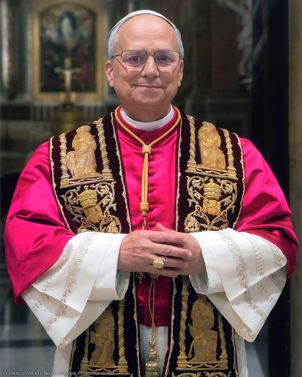 羅本製所　POH COPIAPA ❤️🌱 羅本製所黑王丸（CRYSTALLIZATION) COPIAPOA CINEREA