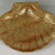 Baptismal Shell - SLB3682