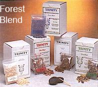 T12 Forest Blend Incense