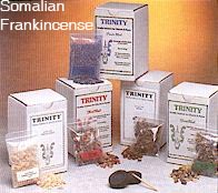 T14 Ethiopian Frankincense