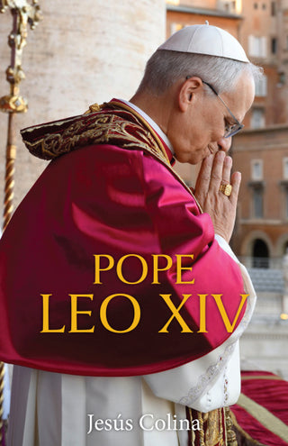 Pope Leo XIV - T2913