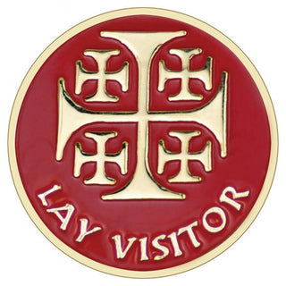 A-10 Lay Visitor Pin