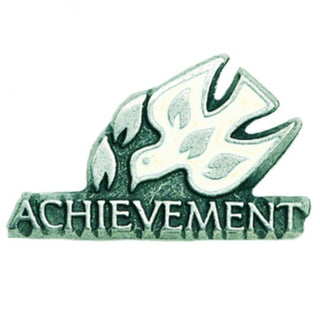 B-65 Achievement Lapel Pin