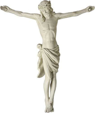 F8332 Great Oak Corpus 37"