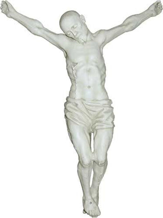 F8512 Corpus (For Real Hair) 25"