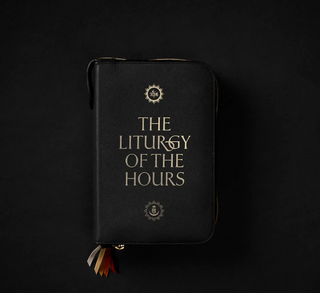 Leather Case Only - Liturgy of the Hours - Word on Fire’s Edition