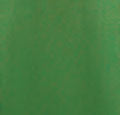 239-DALMATIC-G