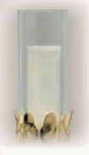Replacement Globe - K-437-G