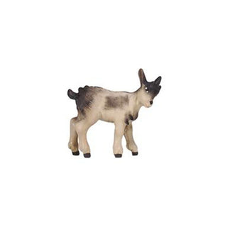 Goat (Kid) - 801190