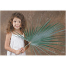 Mediterranean Palm (8/Bag)