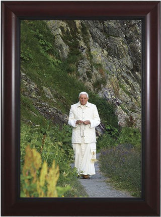 NW-1811 Pope Benedict in Mountains