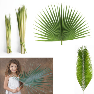 Palm Sunday Palms