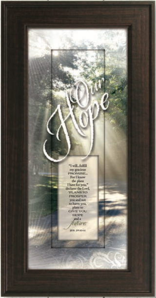 JL3056 Our Hope I Will Fulfill Plaque